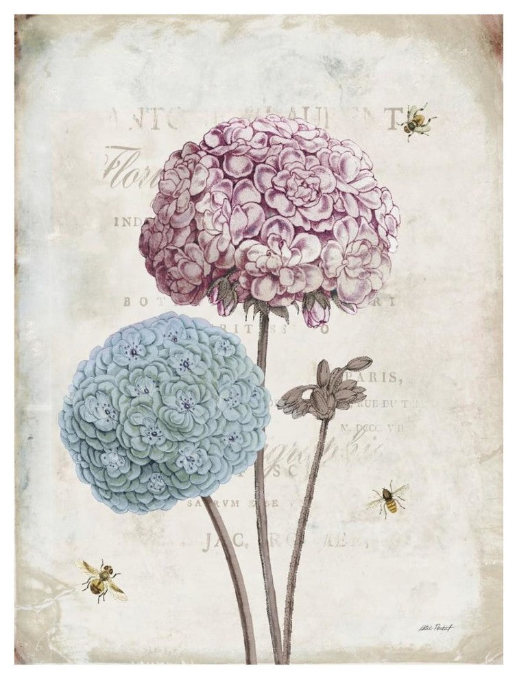 "Geranium Study II Pink Flower" Digital Paper Print by Katie Pertiet, 14"x18"