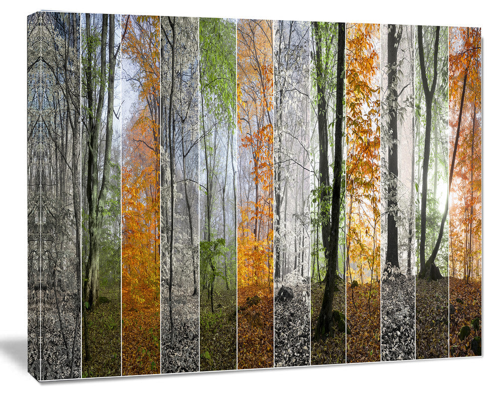 Wood Panorama Changing Seasons, Landscape Canvas Art Print, 20"x12"
