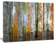 Wood Panorama Changing Seasons, Landscape Canvas Art Print, 20"x12"