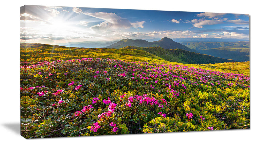 Summer Day Rhododendron Flowers, Landscape Canvas Art Print, 32"x16"