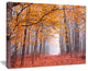 "Beautiful Trees With Fallen Leaves" Landscape Canvas Photo Print, 40"x30"