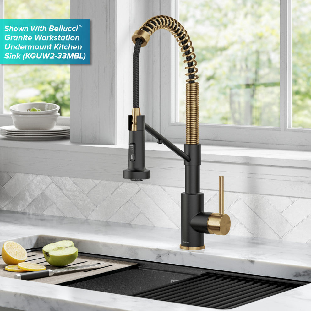 Bolden Commercial Style 2-Function Pull-Down 1-Handle 1-Hole Kitchen Faucet, Brushed Brass/ Matte Black (Filter Kitchen Faucet)