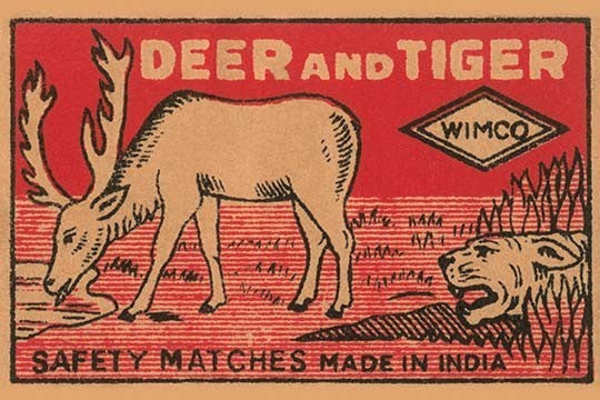 Deer and Tiger Safety Matches- Gallery Wrapped Canvas Art 28" x 42"