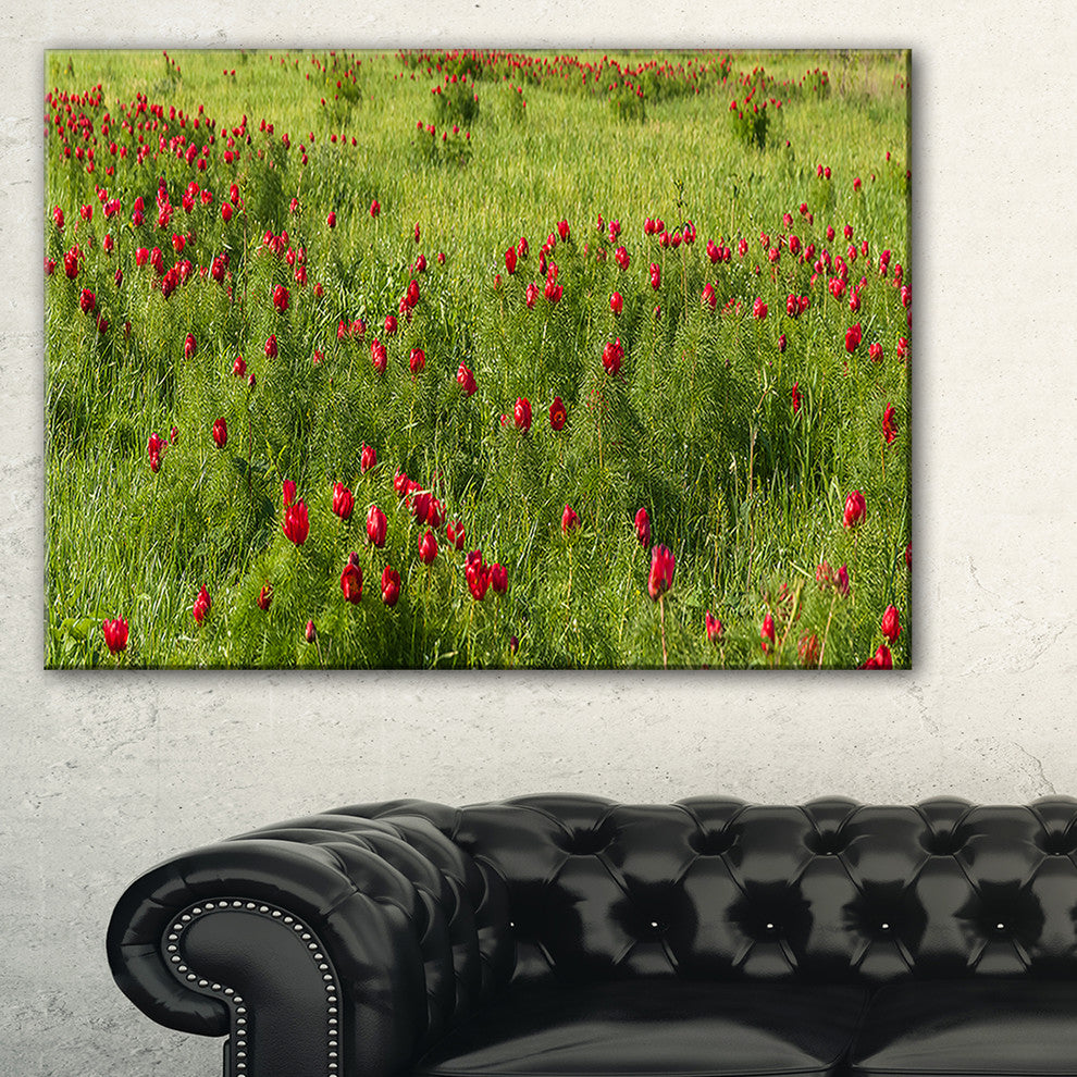 "Wild Peonies Flower in Steppe" Modern Landscape Wall Art, 1 Panel, 60"x28"