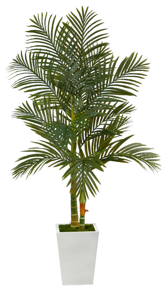5.5' Golden Cane Artificial Palm Tree, White Metal Planter