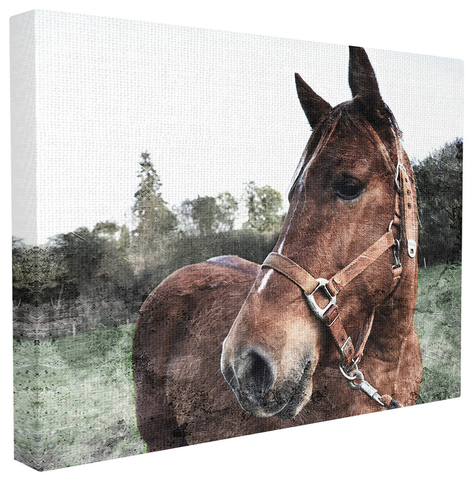 Stupell Ind. Horse Posing In Field Wall Art, 16" X 20", Canvas