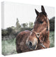 Stupell Ind. Horse Posing In Field Wall Art, 16" X 20", Canvas