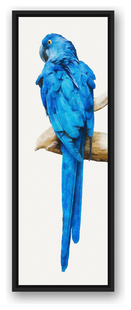Blue Parrot 12x36 Black Floating Framed Canvas