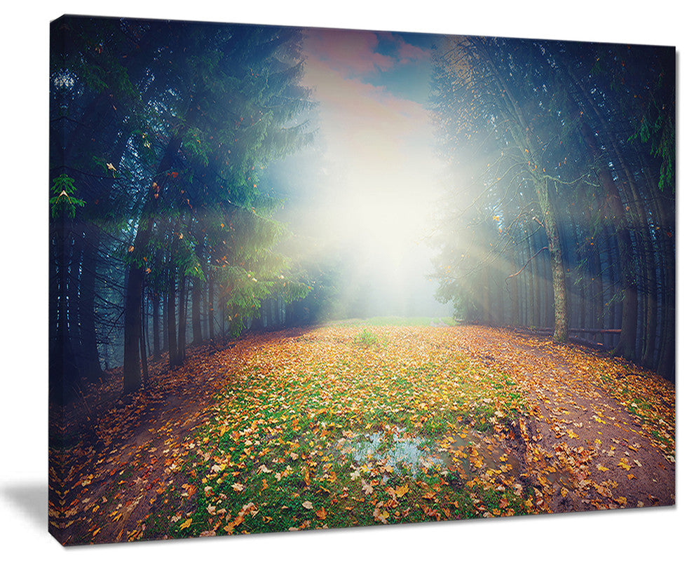 "Rising Sun Over Arched Forest" Landscape Photo Wall Art, 20"x12"