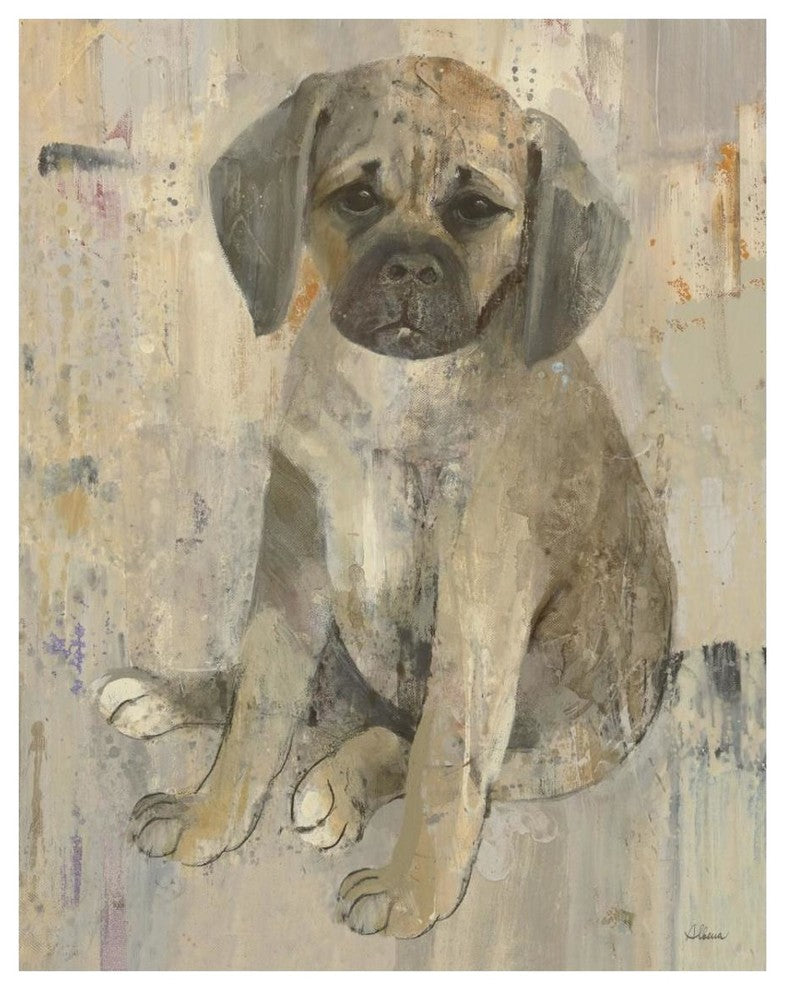 "Paco v2" Digital Paper Print by Albena Hristova, 24"x30"