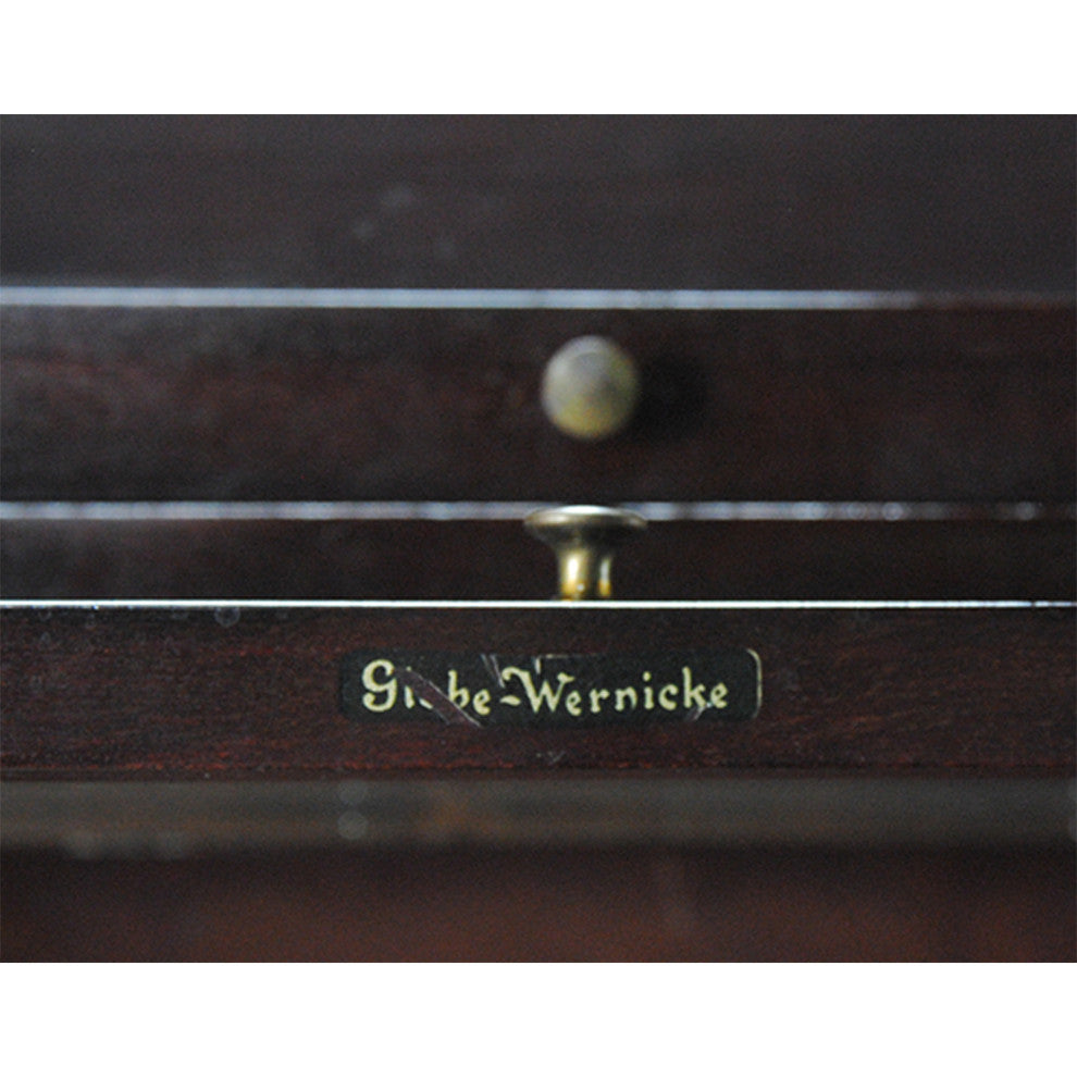 NVIN0341 Vintage Mahogany Globe Wernicke Bookcase
