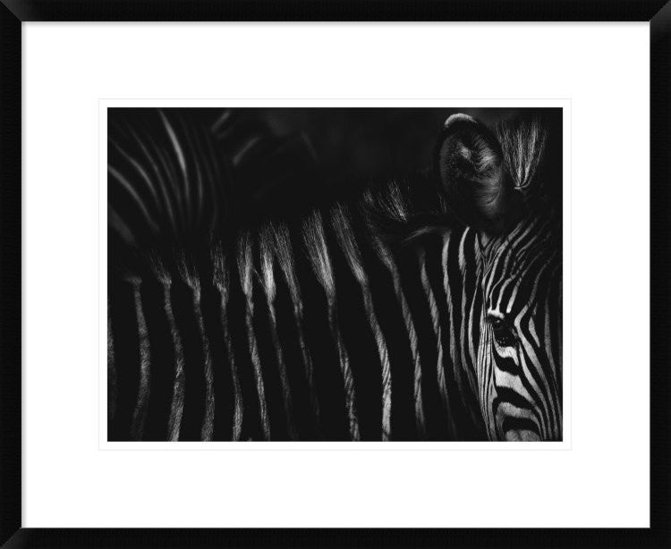 "Untitled" Framed Digital Print by Antonio Grambone, 24x20"
