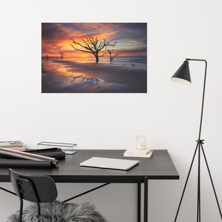 Sunrise and Trees At Edisto Island Coastal Landscape Photo Loose Wall Art Print, 24" X 36"