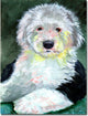 Old English Sheepdog, 11"x15" 2-Sided Garden Banner