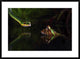 "Courage" Framed Digital Print by Shikhei Goh, 38"x28"