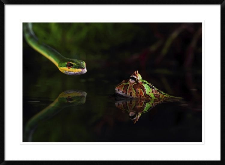 "Courage" Framed Digital Print by Shikhei Goh, 38"x28"