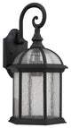 Havana Divine Transitional 1-Light Black Outdoor Wall Sconce
