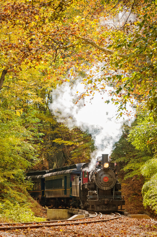 Steam Train with Autumn Foliage Landscape Photo Canvas Wall Art Print, 18" X 24"