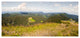 Black Forest Germany Panorama, Landscape Canvas Art Print, 60"x28"