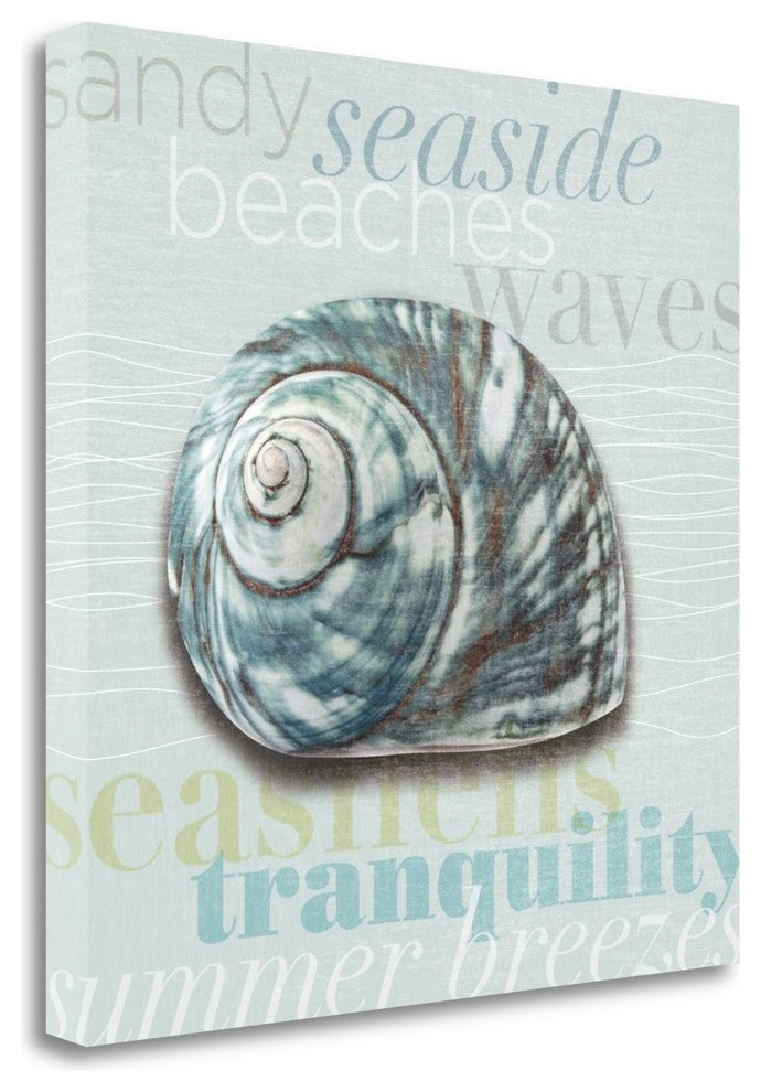 "Beach Collection I" By Tandi Venter, Giclee Print on Gallery Wrap Canvas