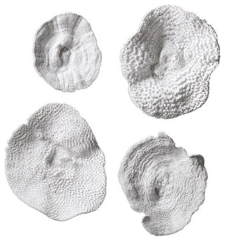 Bowery Hill 4 Piece Sea Coral Wall Sculpture Set in Antique White