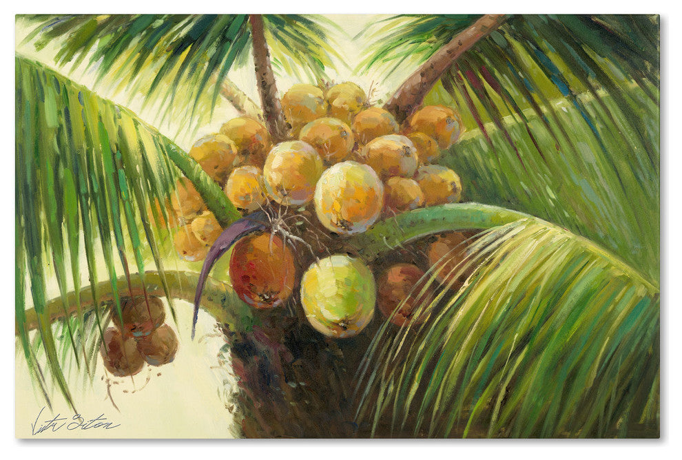 'Coconut Palm II' Canvas Art by Victor Giton