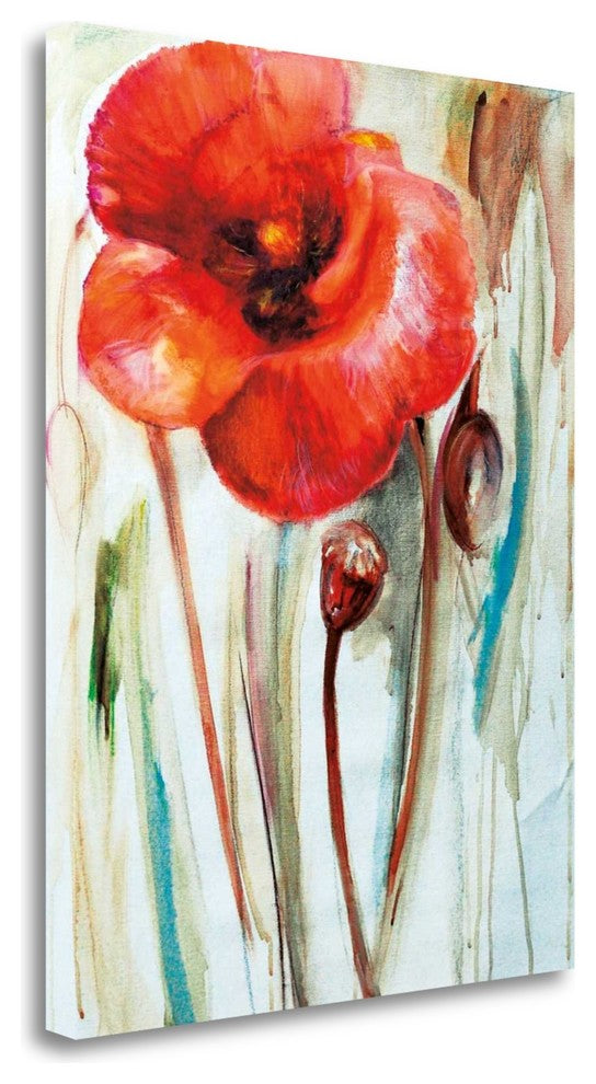 "Mak" By Maria Zielinska, Giclee Print on Gallery Wrap Canvas, Ready to Hang