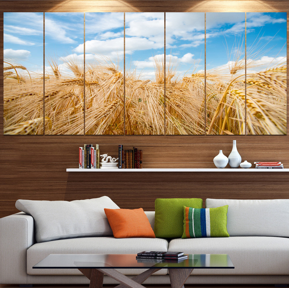 Barley Field under Blue Sky, Landscape Canvas Art Print, 83"x32", 7 Panels