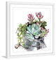 "Succulents" Framed Print by Rachel Byler