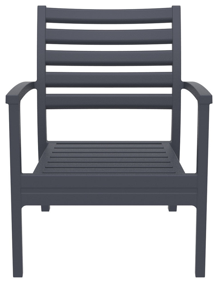 Artemis XL Club Chair, Set of 2, Dark Gray With Acrylic Fabric Natural Cushions
