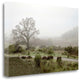 "Oak Tree - 57" By Alan Blaustein, Giclee Print on Gallery Wrap Canvas