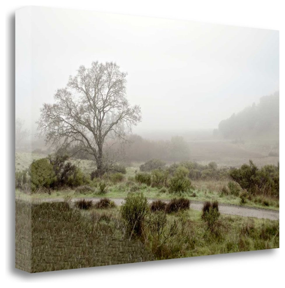 "Oak Tree - 57" By Alan Blaustein, Giclee Print on Gallery Wrap Canvas