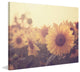 Marmont Hill, "Sunflower September" Painting Print on Wrapped Canvas, 39x30