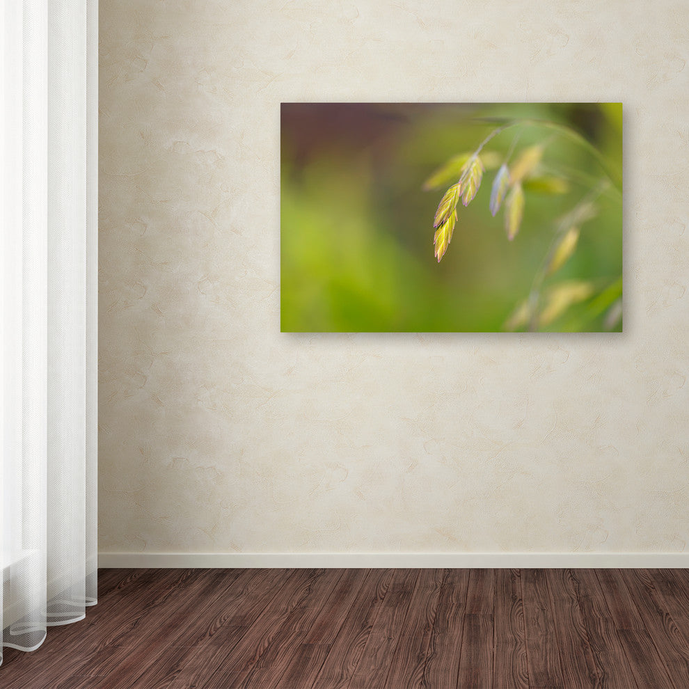 Cora Niele 'Sea Oats Grass' Canvas Art