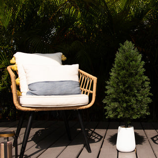 Lifestyle image featuring the tree on a deck with chairs.