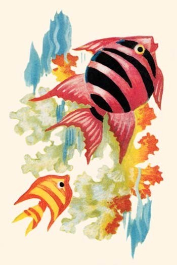 Tropical Fish - Gallery Wrapped Canvas Art 28" x 42"