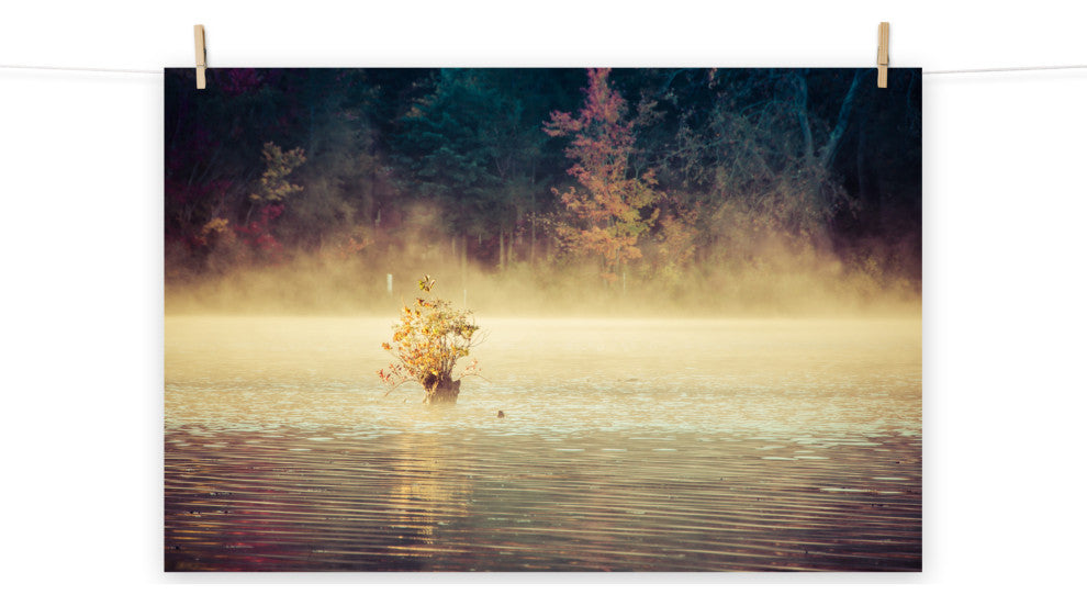 Golden Mist on Waples Pond Landscape Photo Unframed Wall Art Print, 12" X 16"