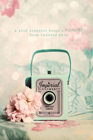 "Snapshot" Print on Canvas by Sylvia Cook