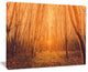 "Sunrise in a Forest With Tall Trees" Landscape Canvas Photo Print, 20"x12"