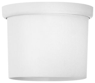 Hinkley Iver Flush Mount Kit, Matte White