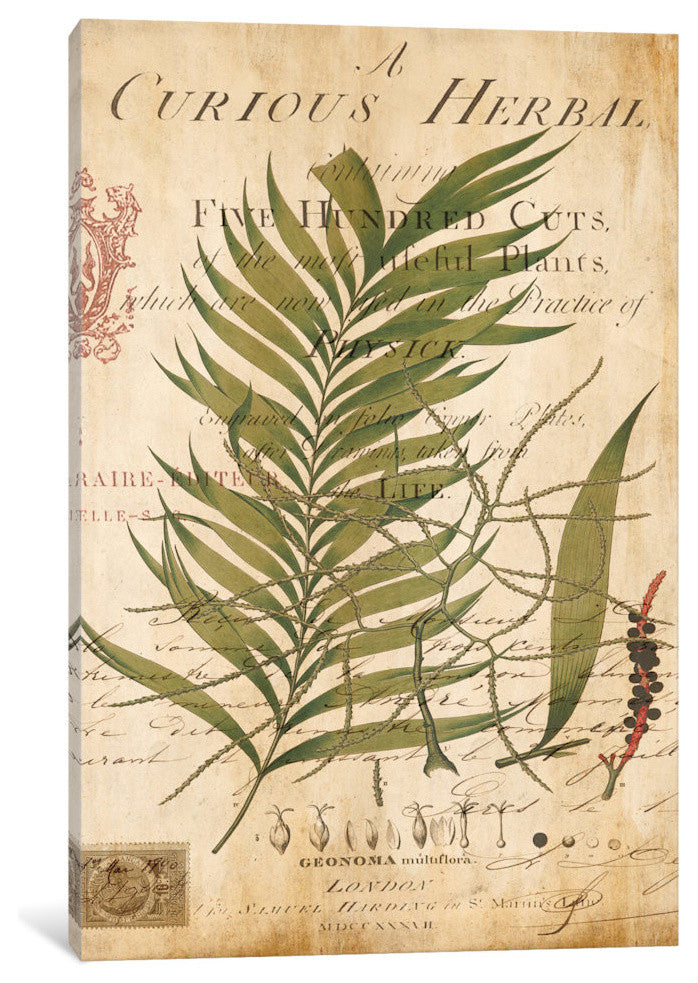 "Palm Study I" by Deborah Devellier, Canvas Print, 18"x12"
