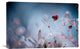 "High Diving" Stretched Canvas Giclee by Fabien Bravin, 22x15"