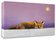 Dreamweaver by Lucia Heffernan, Print on Canvas, 24"x16"