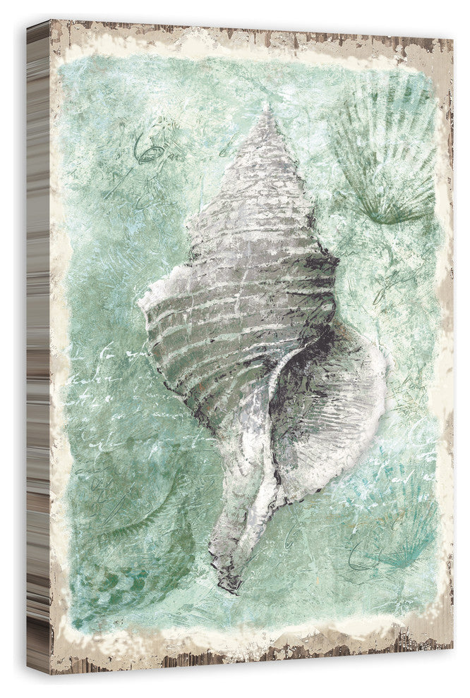 "Conch Shell" Canvas Wall Art, 24"x36"