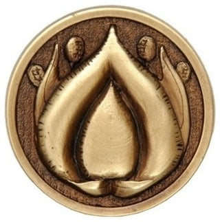 Hope Blossom Knob Antique Brass, Antique Brass