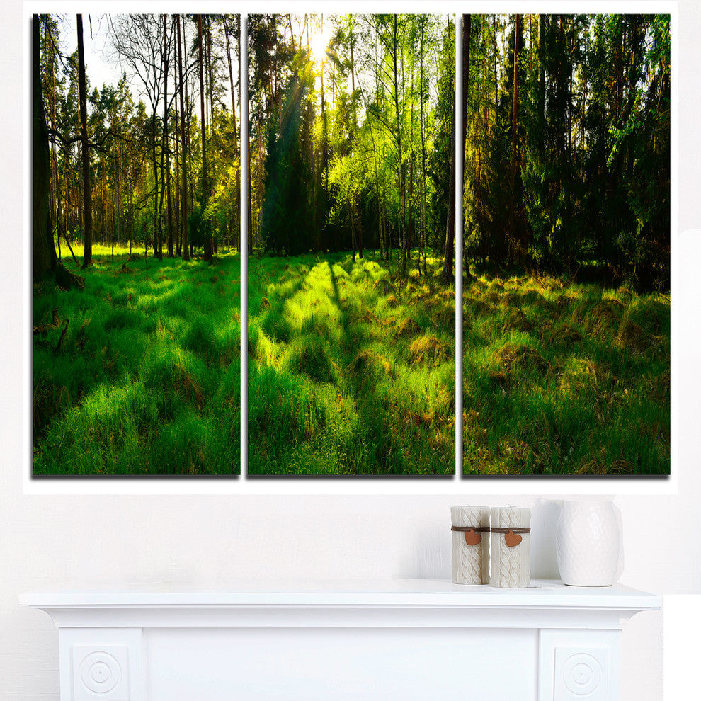"Green Forest Sunset Panorama" Metal Wall Art, 3 Panels, 36"x28"