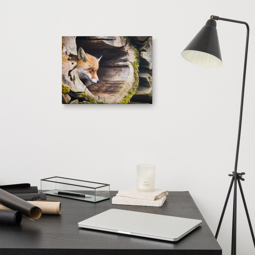 Young Red Fox Face In Mossy Stump Animal Wildlife Photo Canvas Wall Art Prints, 12" X 16"