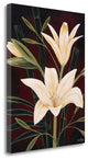 "Botanical Elegance I" By Yvette St. Amant, Giclee Print on Gallery Wrap Canvas