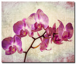 Painted Petals XVIII Canvas Wall Art, 20"x30"