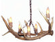 Elk Montana Deer Antler Chandelier Light, Medium, Parchment Shades